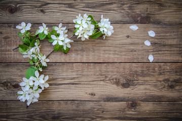 Branches of a blooming apple tree with white flowers on a wooden background, with copy space