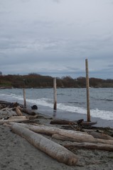 Fototapeta premium Beach 