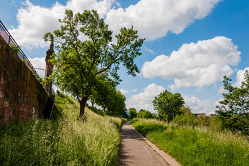 Trier, Mosel, Fluss, Moselufer, Uferweg, Moselschiffe, Radtour, Spazierweg, Römerbrücke, Moselbrücke, Brücke, Flussschifffahrt, Rheinland-Pfalz, Stadt, Altstadt, Frühling, Deutschland