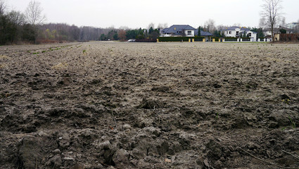 Pole, zaorana ziemia przez rolnika, w tle domy mieszkalne, jednorodzinne. Pole ziemniaki, buraki, przenica, żyto, uprawy. Rolnicze uprawy, dotacje dla rolników. Przedmieścia. © Marcin