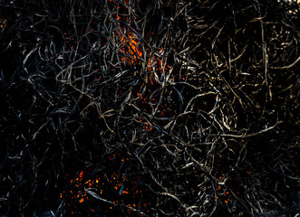 red fire under dry grass texture background
