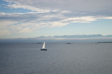 Fototapeta premium Sailing in the bay 