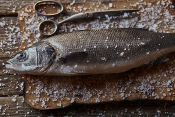 Sea bass fish on the dark wooden background with salt, tomatoes cherry and lemon