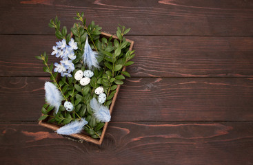 Easter decoration, wooden box with easter eggs, feathers and spring flowers.Easter background