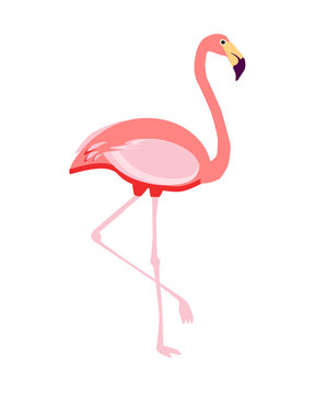 Beautiful vector image with pink flamingo.