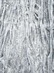 texture of tree