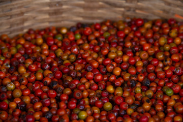 basket with red, green and black peppercorns