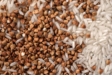 Low carbohydrates in assortment, rice and buckwheat . Healthy food concept