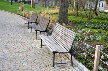 wooden park bench with metal structure on granite pavement in the park supporting wall of rope...