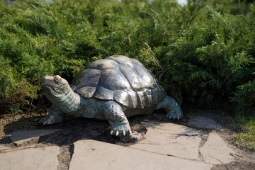 Turtle, a statue to decorate the yard. Bronze Turtle. Garden figure turtle