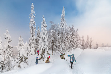 group of friends actively spend the weekend in a snow-covered winter forest. The concept of hardening and adventure