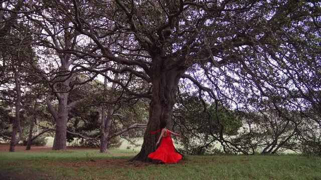 The Lady In Elegant Red Ensemble Twirling Consecutively As Part Of Her Dance In The Forest Park. -wide show