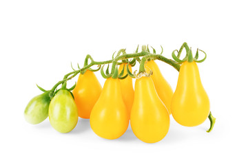 yellow tomatoes on white background