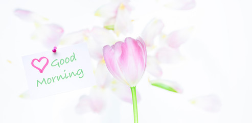 „Guten Morgen“ Gruß mit Blumen