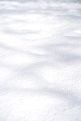 合成用背景　明るい雪面