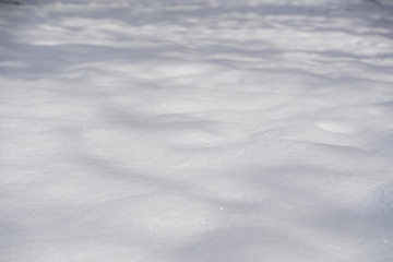 合成用背景　明るい雪面