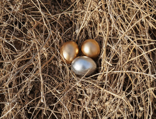 Fototapeta na wymiar Gold and silver colored eggs laid on the nest
