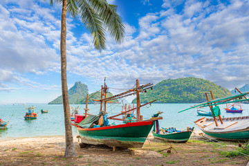 Fototapeta premium Tonsai Beach bay with traditional longtail boats parking in Phi Phi island, Krabi Province, Andaman Sea, Thailand