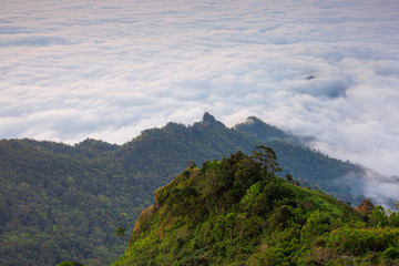 Scenic view at phu chi fa and phu chi dao chiang rai and chiang mai nature landscape scenic sunrise...
