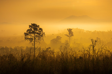 Fototapeta premium Beautiful sunrise at national park called 