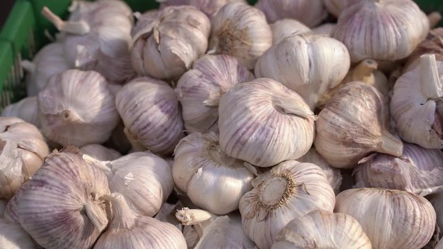 fresh garlic on the market