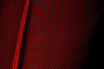 Red macro feather,Feather, Taiwan, Black Color, Close-up, Backgrounds,Parrot feathers, red, yellow and blue exotic texture'Feather, Parrot, Multi Colored, Animal, Macaw,Red/Yellow Feathers