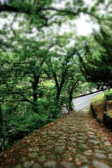 Haeinsa Temple in Hapcheon-gun, South Korea. Haeinsa is an old Korean traditional temple.