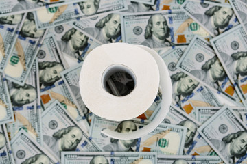 toilet paper rolls dollars  on a light background