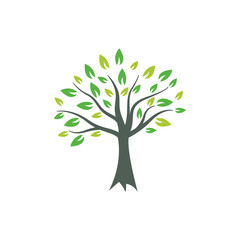 Tree graphic design template vector isolated illustration
