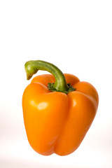 Orange bell pepper on white background