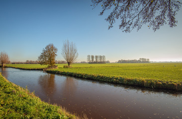Dutch polder landscape in the beginning of the winter season.A thin layer of ice is on thw smooth water surface. The photo was taken near the Dutch village of Hoornaar, Molenlanden, South Holland.