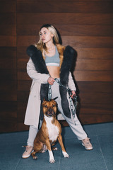 Long haired blonde, wearing a sport suit, a white jacket with fur. Gracefully holding a pitbull by wide leash chain. Posing around modern wooden background.