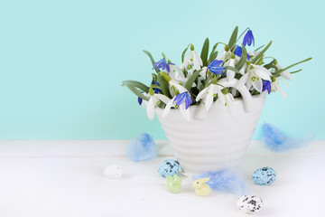 Spring flowers- blue and white snowdrops, easter eggs and feathers. Easter template, spring background, greeting card.8 march, women's day, mother's day