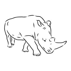 Obraz na płótnie Canvas vector illustration of rhinoceros