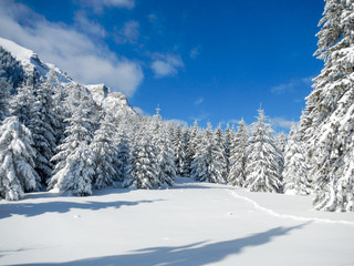 idyllic winter scene in bucegi mountains romania