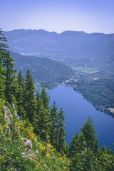Lake Bohinj in Slovenia, view over a valley in Slovenian Alps