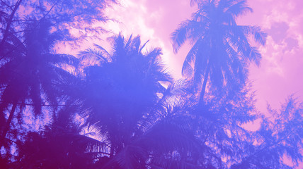 Background in neon tropic style.