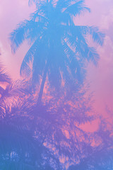 Fototapeta na wymiar Background in neon tropic style.