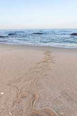 Traces of snake in the sand. Sand Texture. Background from brown sand. selective focus