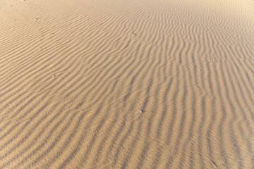 Sand Texture. Background from fine sand. Sand background. selective focus