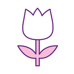Isolated flower line style icon vector design
