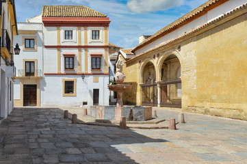 Fototapeta premium Cordoba, Spain street