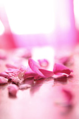 Pink petals on a table 3