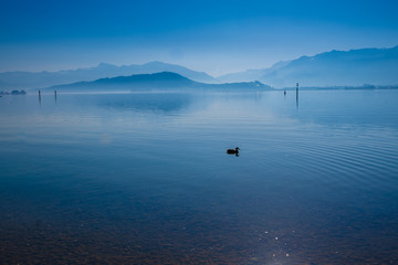 Beautiful coastal landscapes along the shores of the Upper Zurich Lake, Rapperswil-Jona, Sankt Gallen, Switzerland