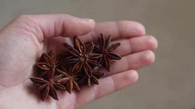 young woman holding star anise in her hand