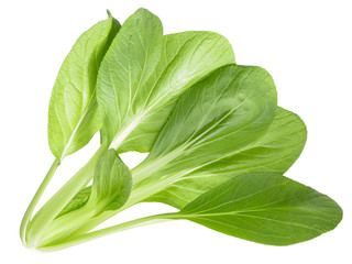 Baby bok choy chinese chard, top