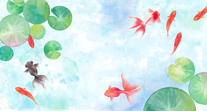 金魚と睡蓮の葉で構成した夏のイメージ背景 水彩イラスト Stock イラスト Adobe Stock