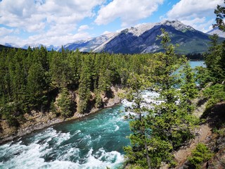 Fototapeta na wymiar Bow Waterfalls , Banff National Park , Canada , Rocky Mountains 