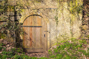 Fototapeta na wymiar Stone wall with some natural stones with an old wooden door with forged metal. Brush and ivy and grass grow around the door