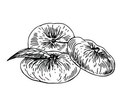 black and white figs with leaf clip art preview